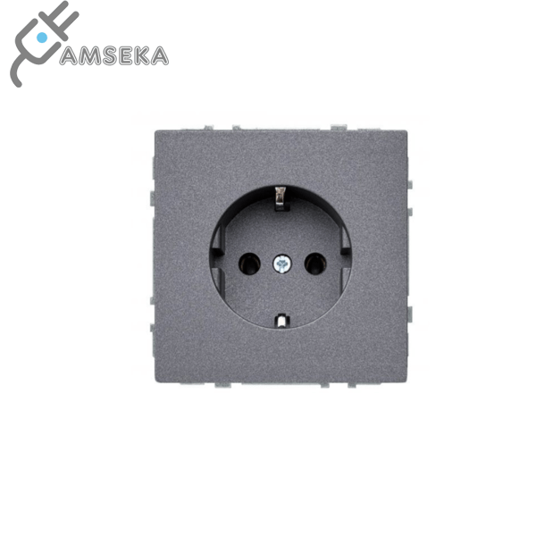 Kižtukinis lizdas su įžem., Liregus Modern "Profi" 1