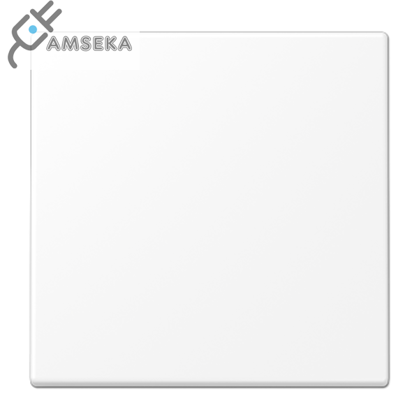 Klavišas viengubo jungiklio, baltas matinis JUNG LS990