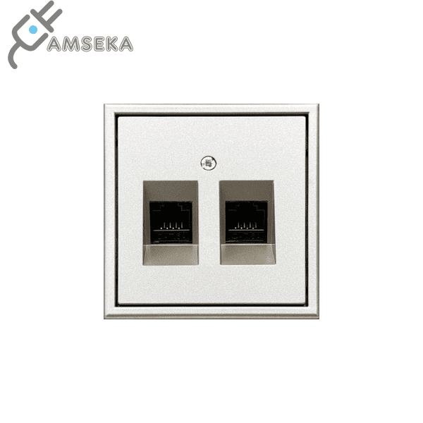 Kompiuterio lizdas MODERN, 2× RJ45 Cat.6A, šampano spalvos, Liregus