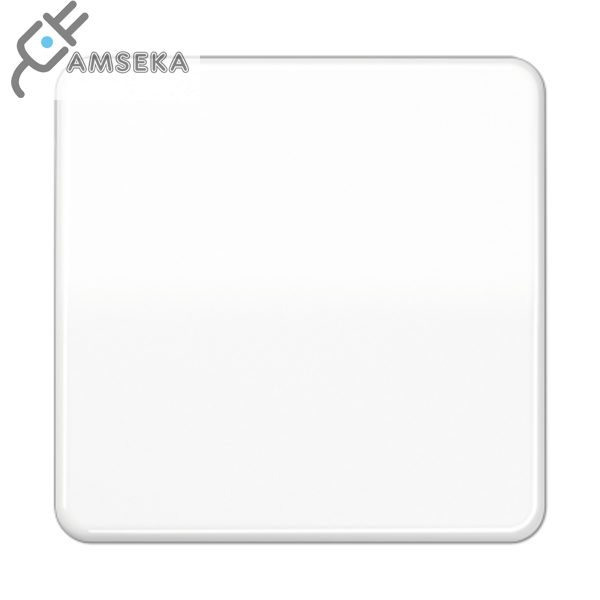 Klavišas viengubo jungiklio, baltas JUNG CD500