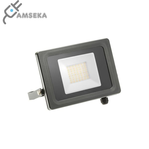 30W LED prožektorius VIPER