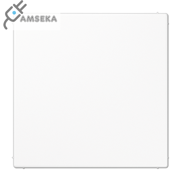 Aklinas dangtelis LS990 baltas JUNG