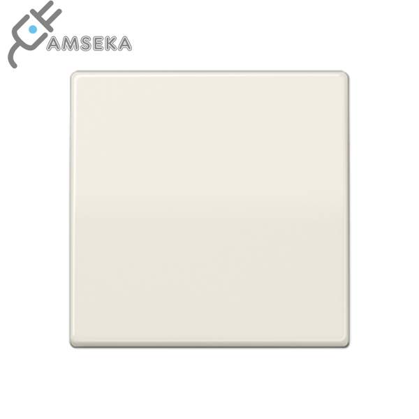 Klavišas, dramblio kaulas JUNG AS500