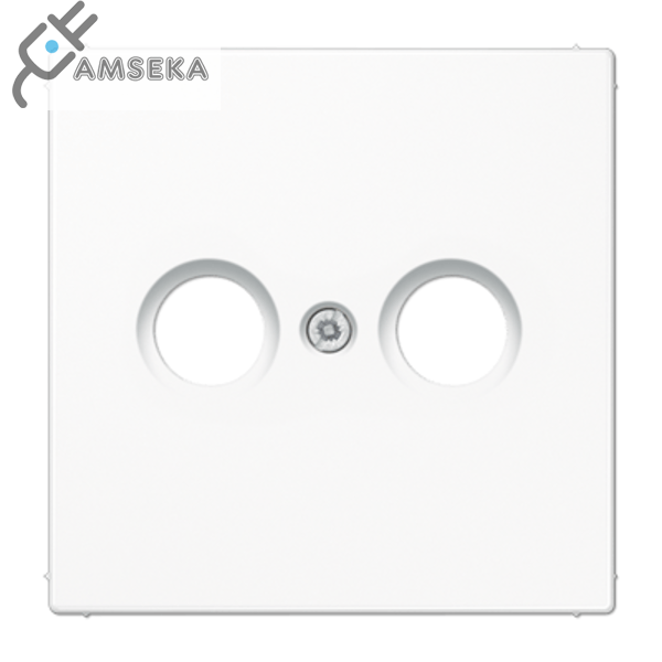 Dangtelis TV lizdui, baltas, JUNG LS990