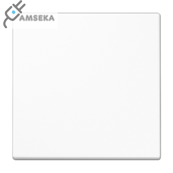 Klavišas viengubo jungiklio, baltas JUNG LS990