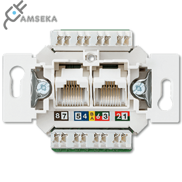 Kompiuterinis lizdas kat. 6 JUNG, 2vietų