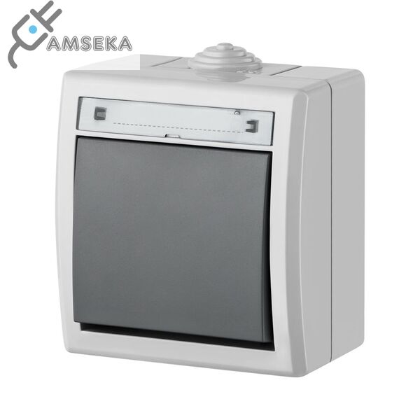 Perjungiklis 1 klavišo Aquant IP55, pilkas Elektroplast