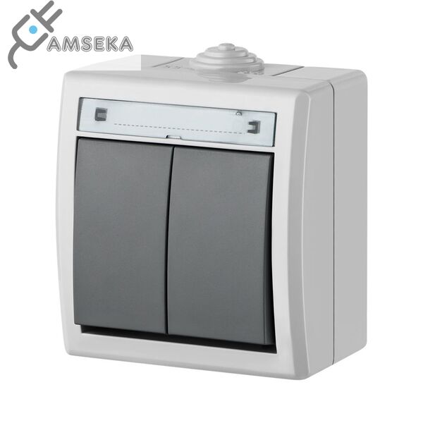 Jungiklis 2 klavišų Aquant IP55, pilkas Elektroplast