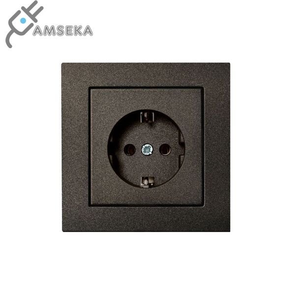 Kižtukinis lizdas su įžem., Liregus EPSILON "Prof."