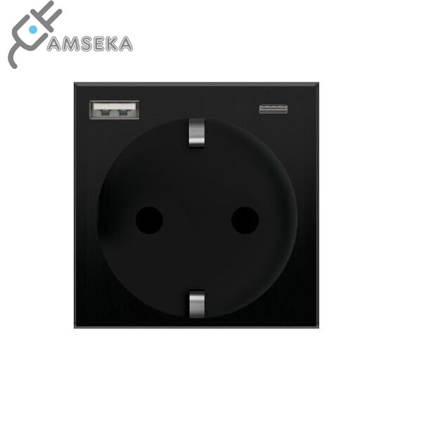 Kištukinis lizdas su įžeminimu, su USB / type C, SPRING