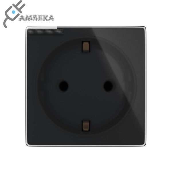 Kištukinis lizdas su įžeminimu su dangeliu SPRING