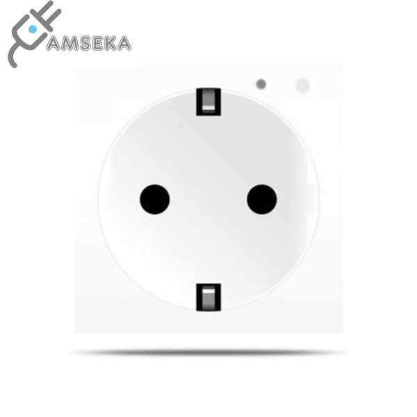 Kištukinis lizdas su įžeminimu, su WIFI, SPRING