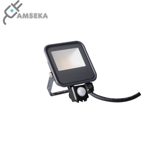10W LED prožektorius su judesio jutikliu Kanlux IQ-LED FL