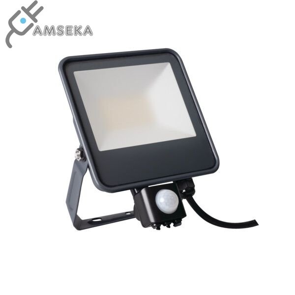 30W LED prožektorius su judesio jutikliu Kanlux IQ-LED 