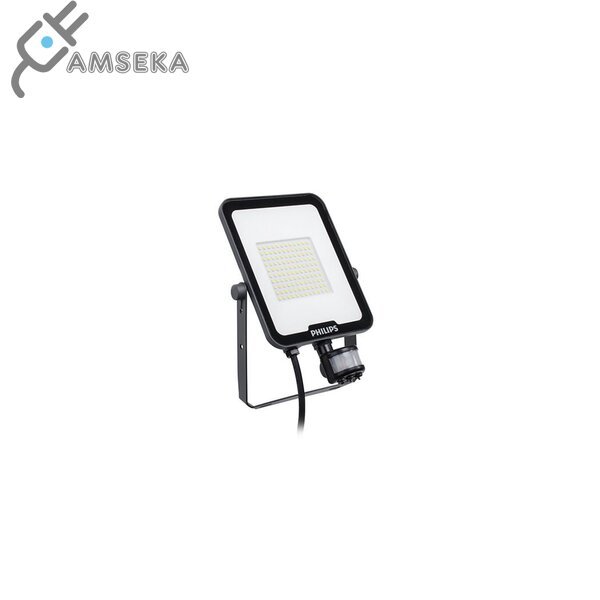 20W LED Prožektorius su judesio davikliu BVP164 PHILIPS, pilkas, IP65, 4000K
