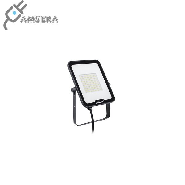 50W LED PROŽEKTORIUS BVP164 PHILIPS, PILKAS, IP65, 4000K