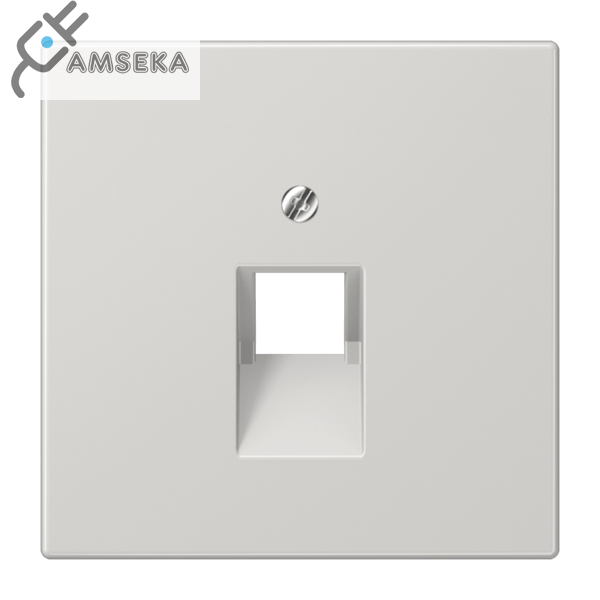 Dangtelis tel./komp. lizdo, šviesiai pilkas JUNG LS990