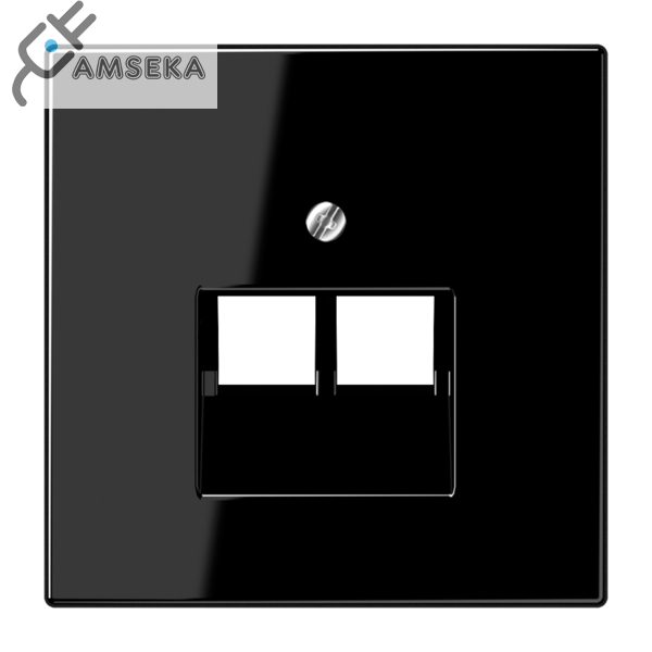 Dangtelis tel./komp. lizdo, dvivietis, juodas JUNG LS990