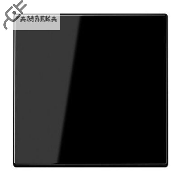 Klavišas viengubo jungiklio, juodas JUNG LS990