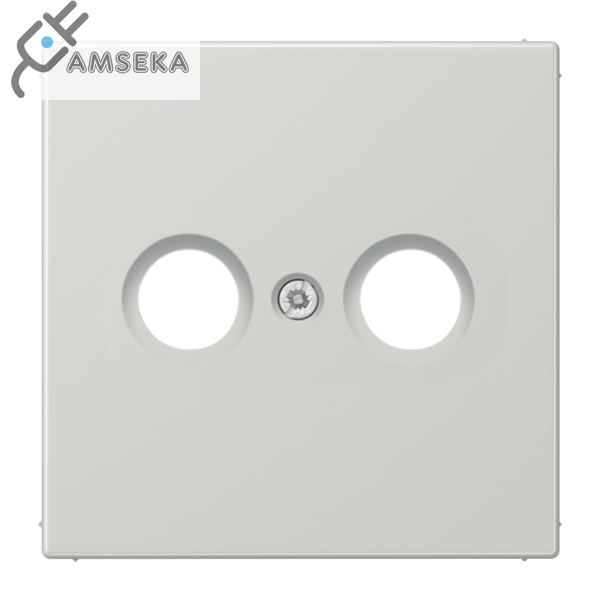 Dangtelis TV lizdui, šviesiai pilkas JUNG LS990