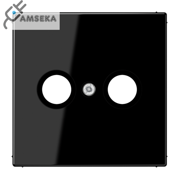 Dangtelis TV lizdui, juodas JUNG LS990