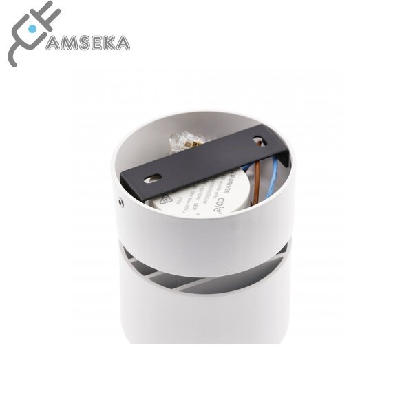 8W LED šviestuvas GTV BIANCO, 4000K, baltos spalvos 4