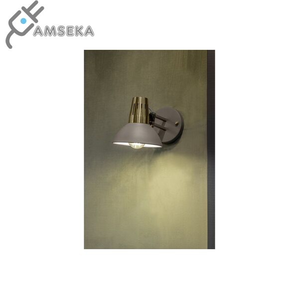 Sieninis šviestuvas ARTEMIA, E27, aukso/pilka sp. 2